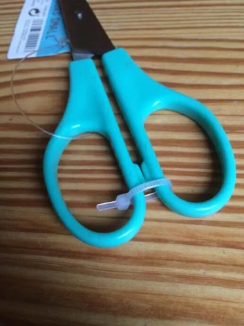 12079238_724417674329341_5890840203629329202_n