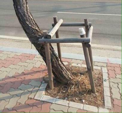 17190809_1034845549953217_6464761228522720609_n