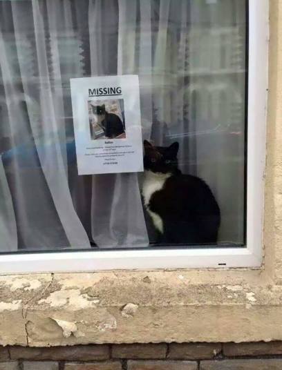 20728158_1168867719884332_5253994865176999578_n